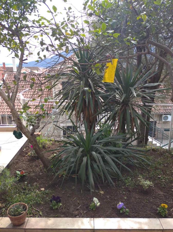 Apartment Cepic Herceg Novi Eksteriør billede