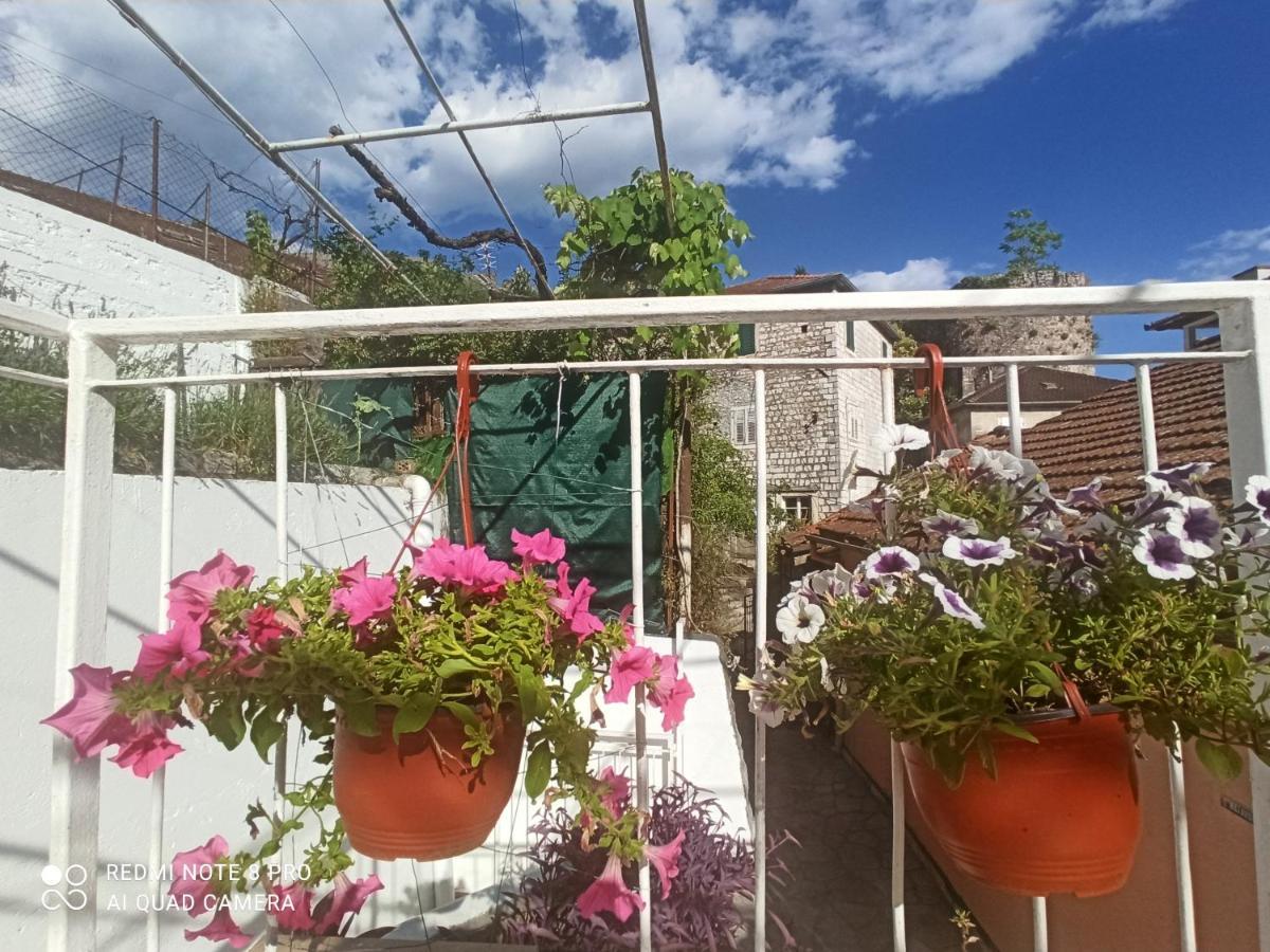 Apartment Cepic Herceg Novi Eksteriør billede